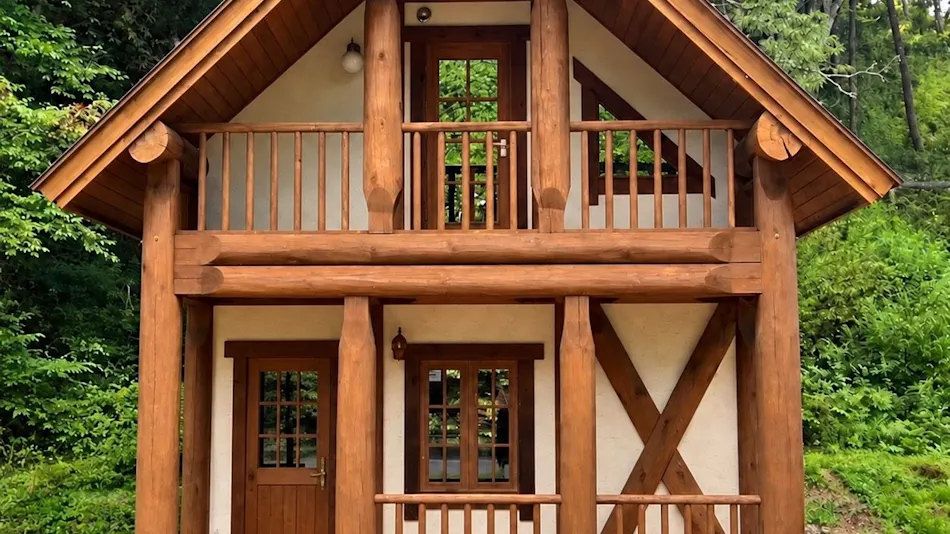 Starry Log House