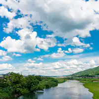 คิโนะกาวะ