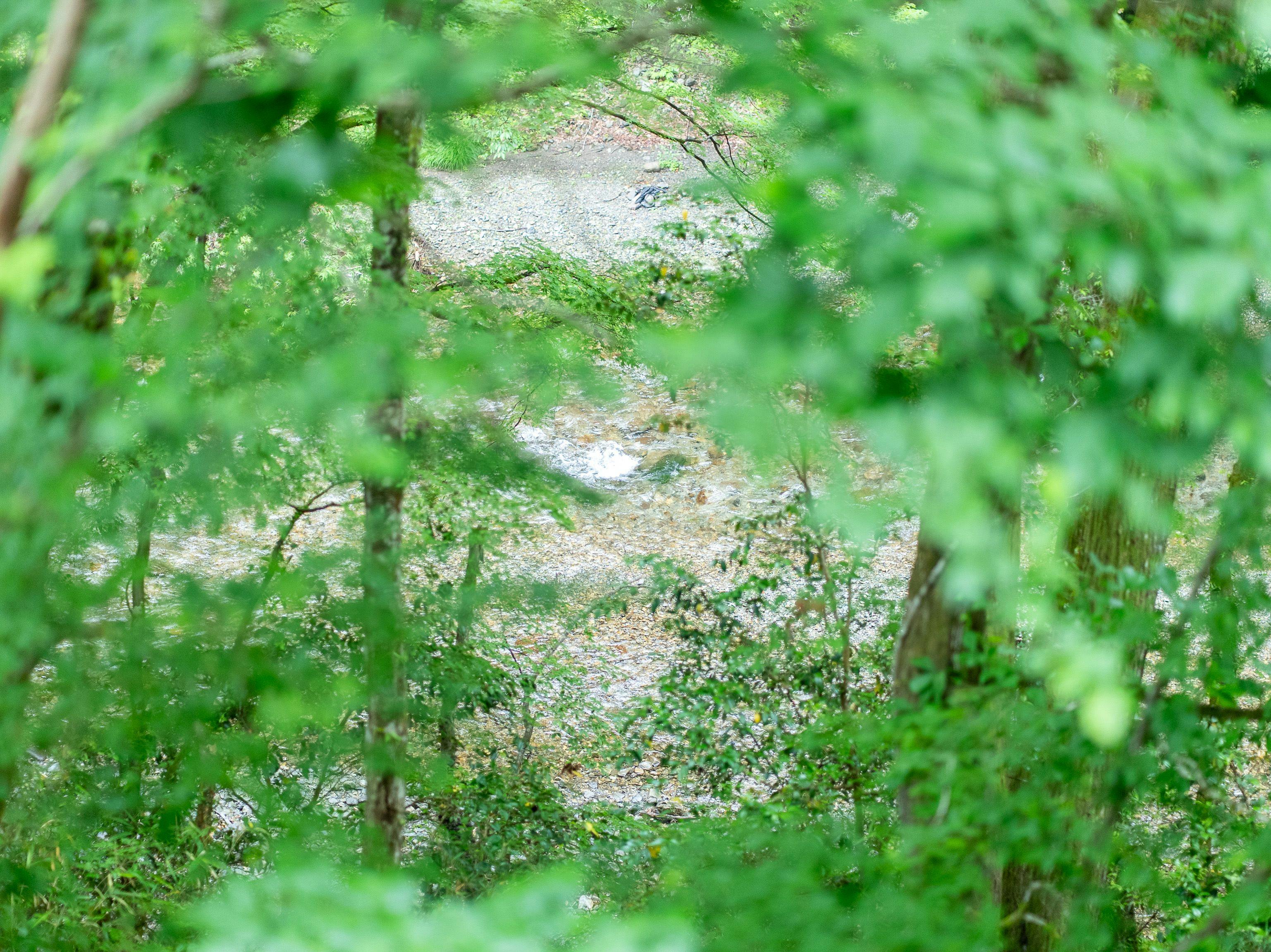 Akigawa Valley Seoto-no-Yu