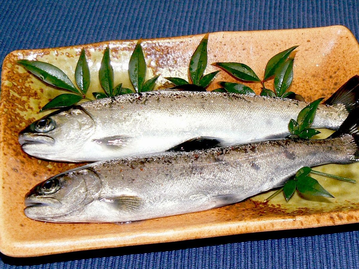 Kawabe Furusato no Yado