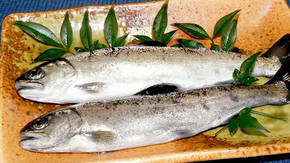 Kawabe Furusato no Yado