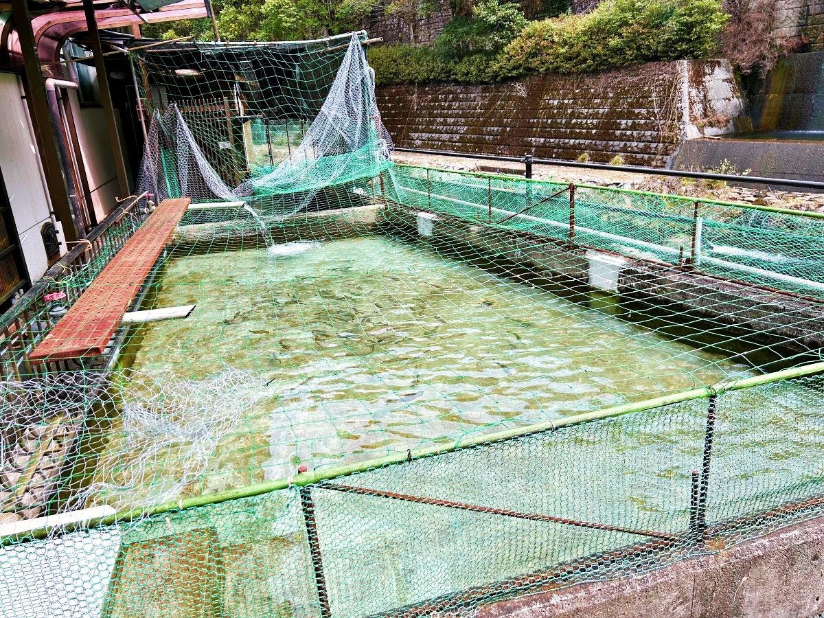 河辺ふるさとの宿
