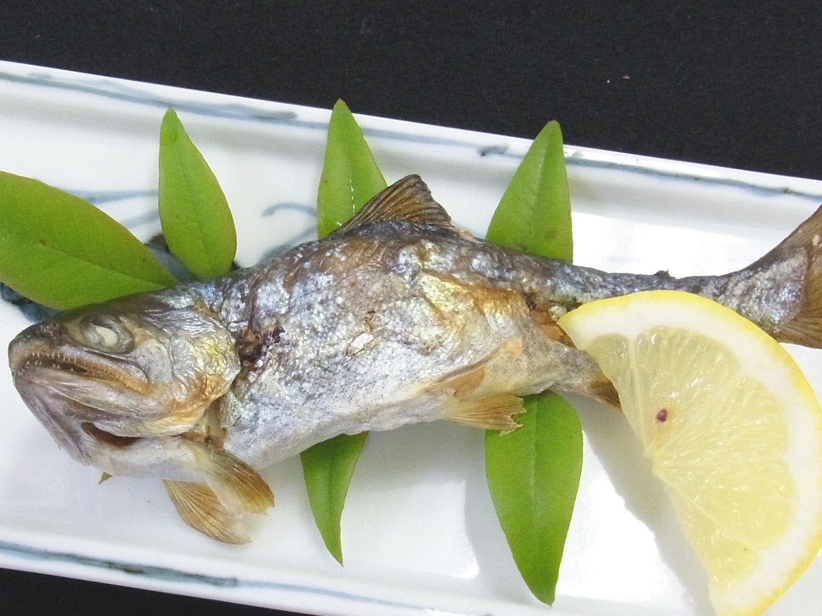 Kawabe Furusato no Yado