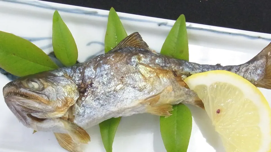 Kawabe Furusato no Yado