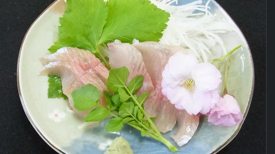 Kawabe Furusato no Yado