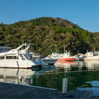 Pulau Nishinoshima yang kaya dengan alam semula jadi