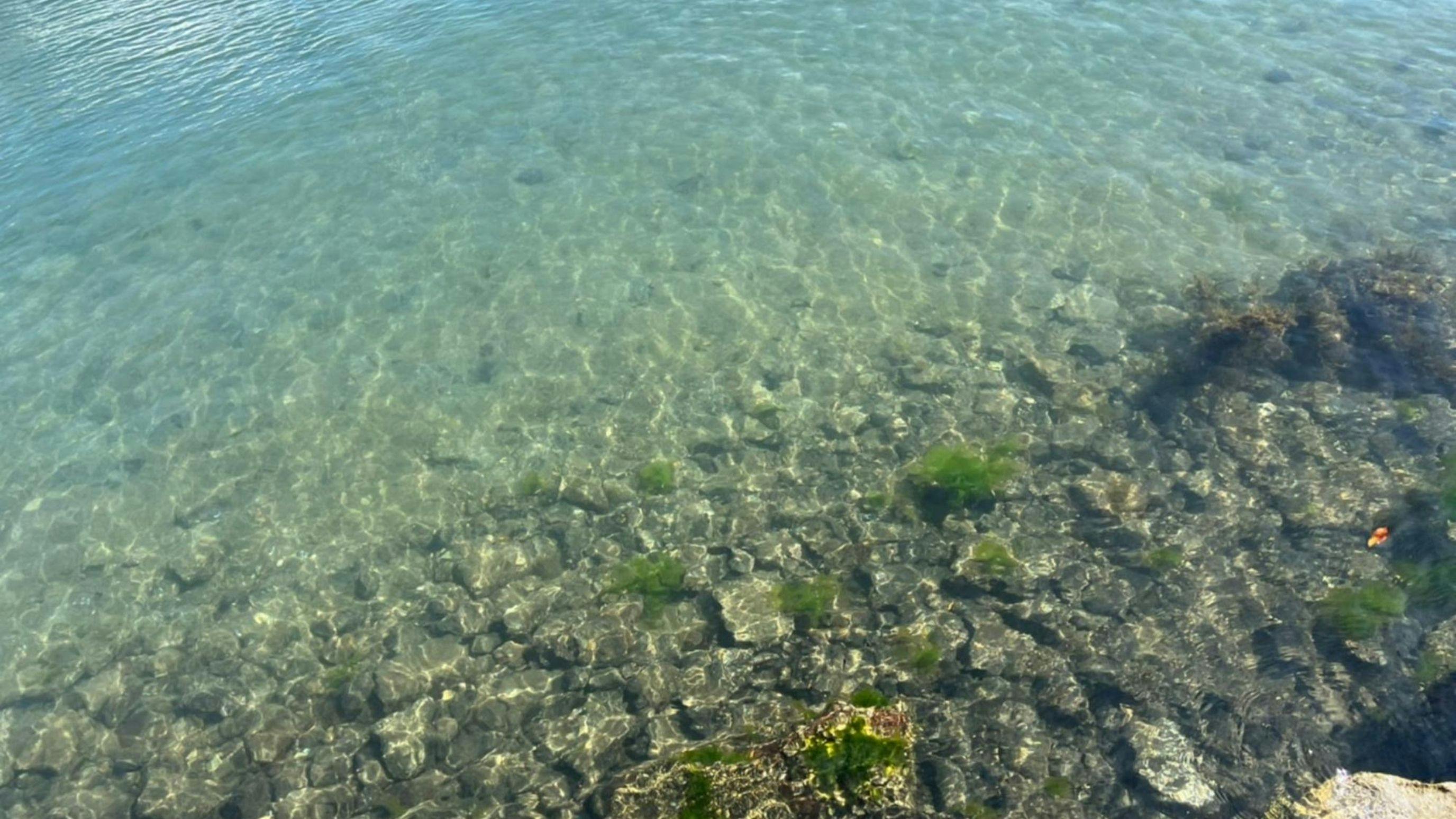 Oki Seaside Hotel Tsurumaru