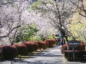 城峯公園キャンプ場