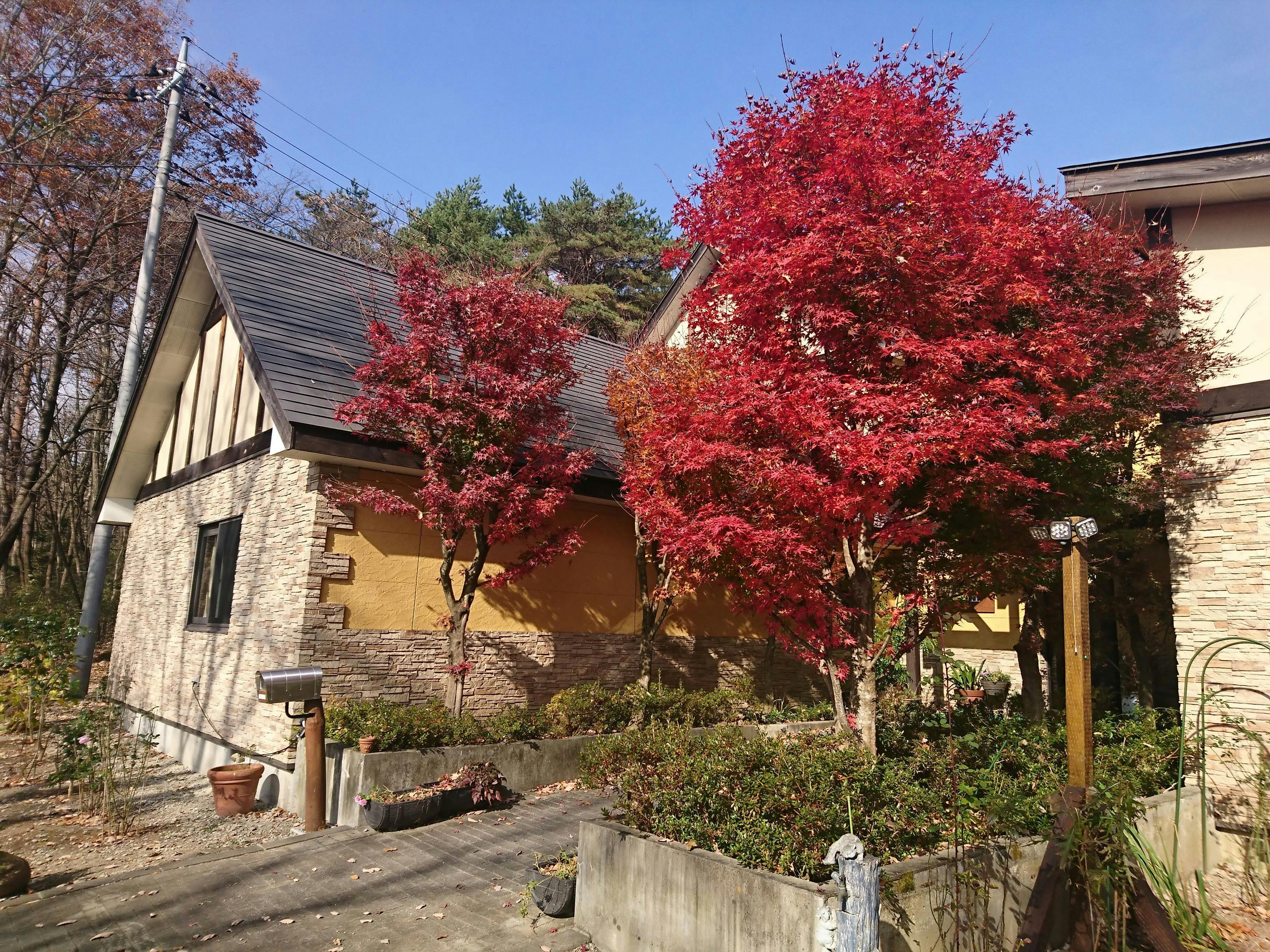 Pension Hoshi no Oka