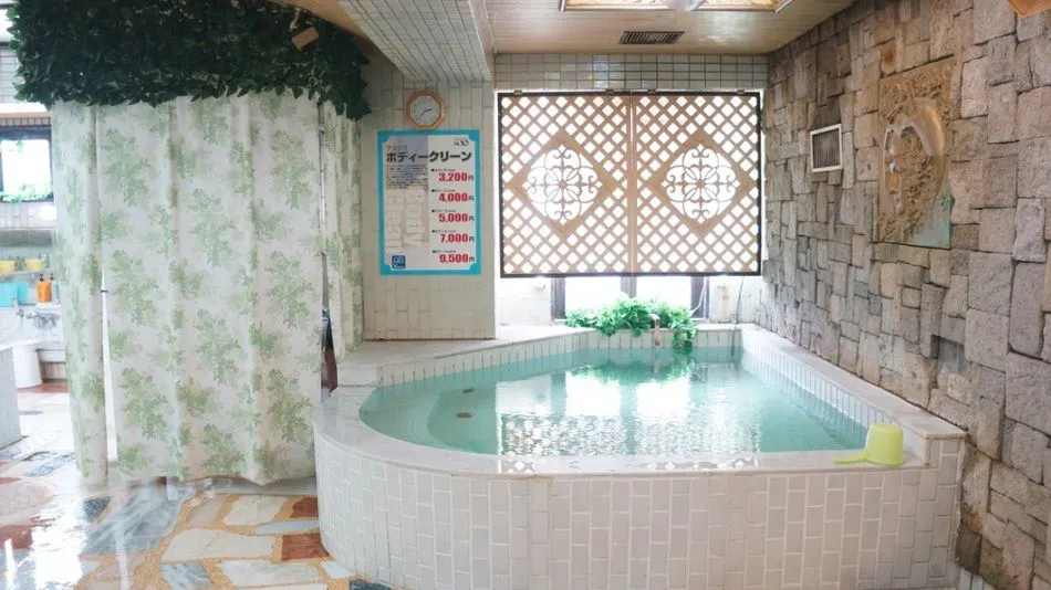 Sauna & Capsule Hotel New Koiwa 310