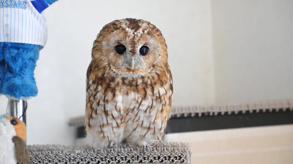 HOTEL OWL TOKYO