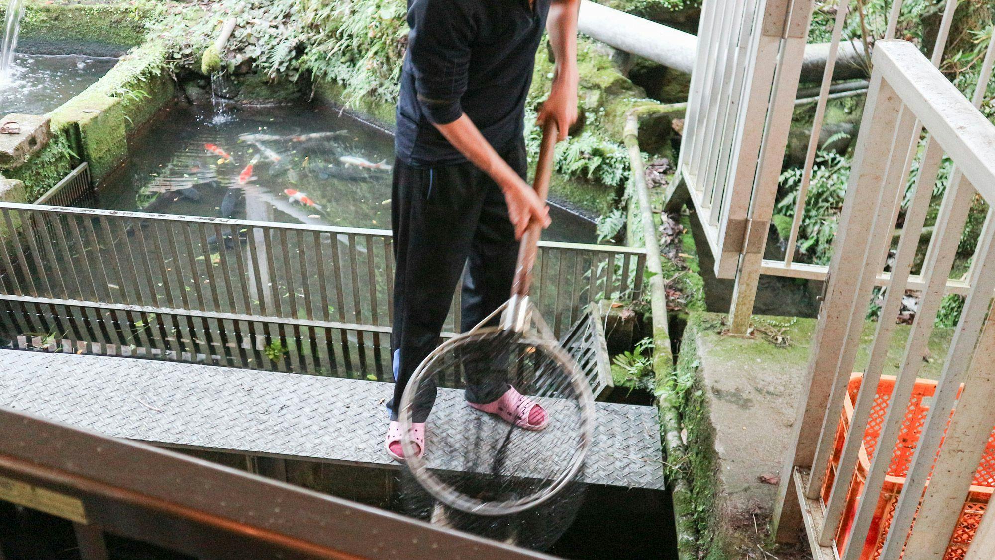 Kakuto Onsen
