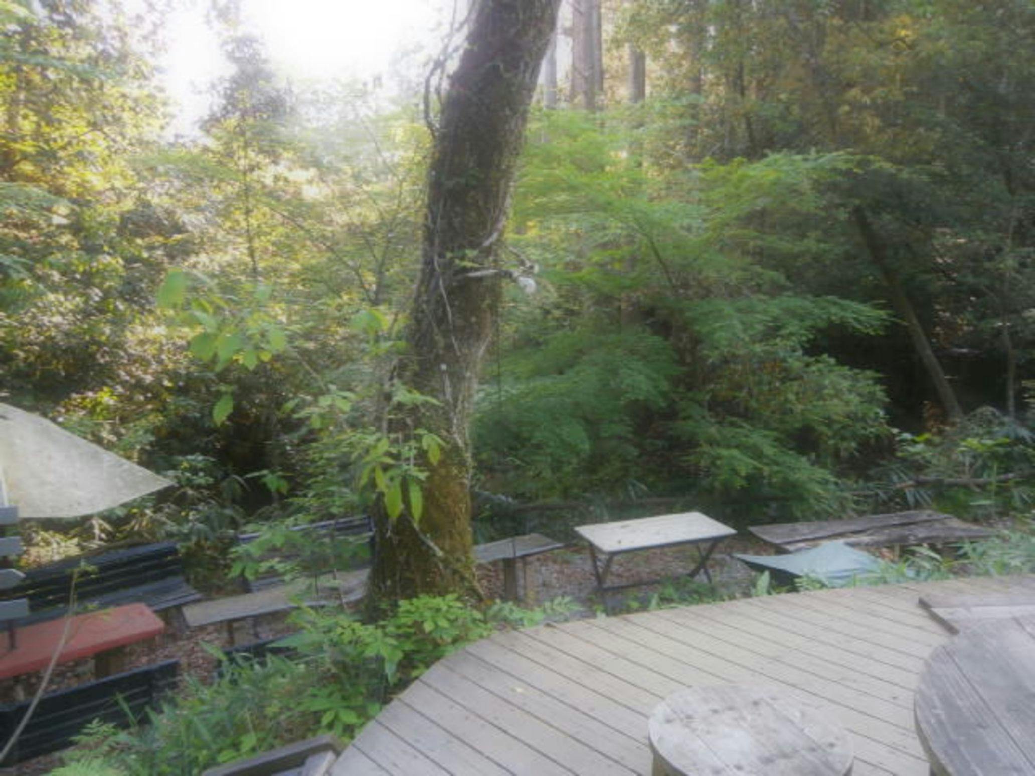 พื้นที่บาร์บีคิว