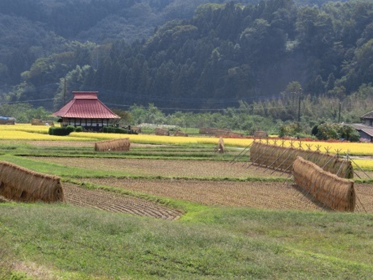 อาหารขึ้นชื่อคือข้าวฮันเดะ