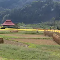 อาหารขึ้นชื่อคือข้าวฮันเดะ