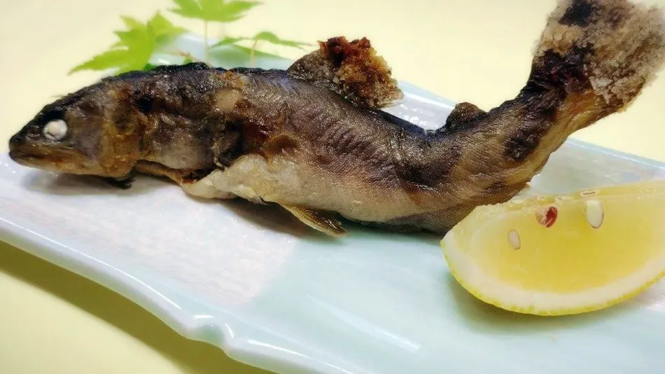 Aimaigawa Onsen Fureai-kan
