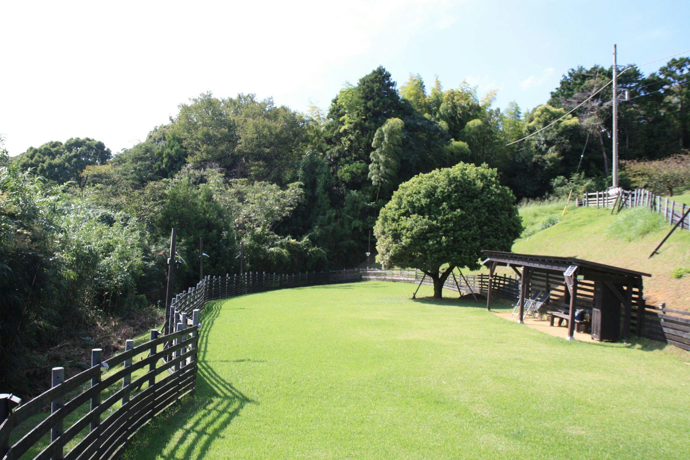 "วังโกะ ฮิโรบะ" เป็นลานสุนัขที่มีพื้นที่ประมาณ 200 สึโบะ