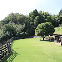 "วังโกะ ฮิโรบะ" เป็นลานสุนัขที่มีพื้นที่ประมาณ 200 สึโบะ