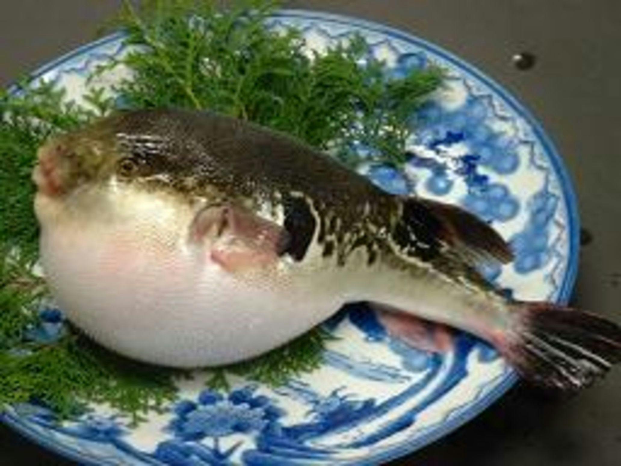 Ryokan Kanemoto