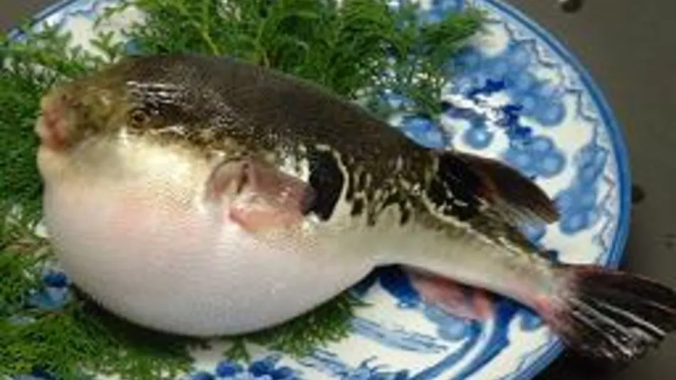 Ryokan Kanemoto