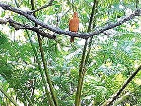 ニライナリゾート