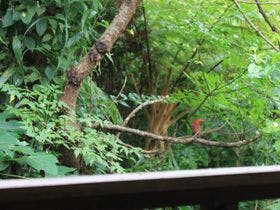 ニライナリゾート