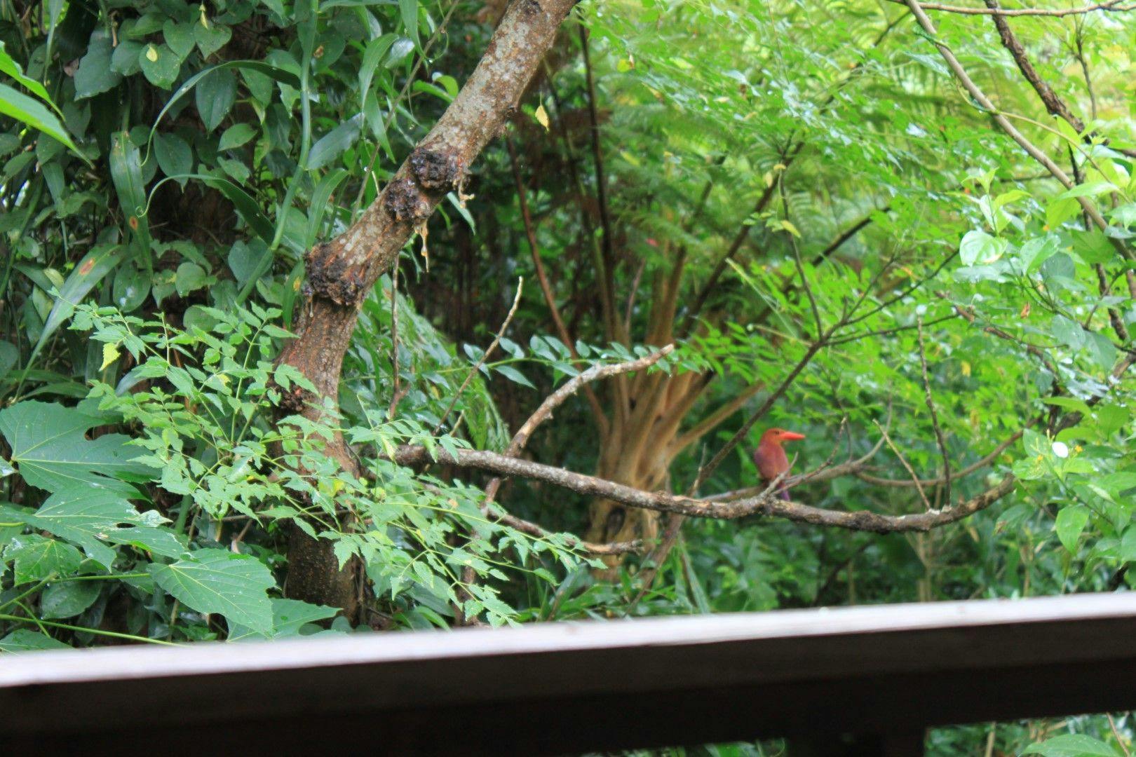 Niraina Resort & Yacht Holidays <Iriomote Island>