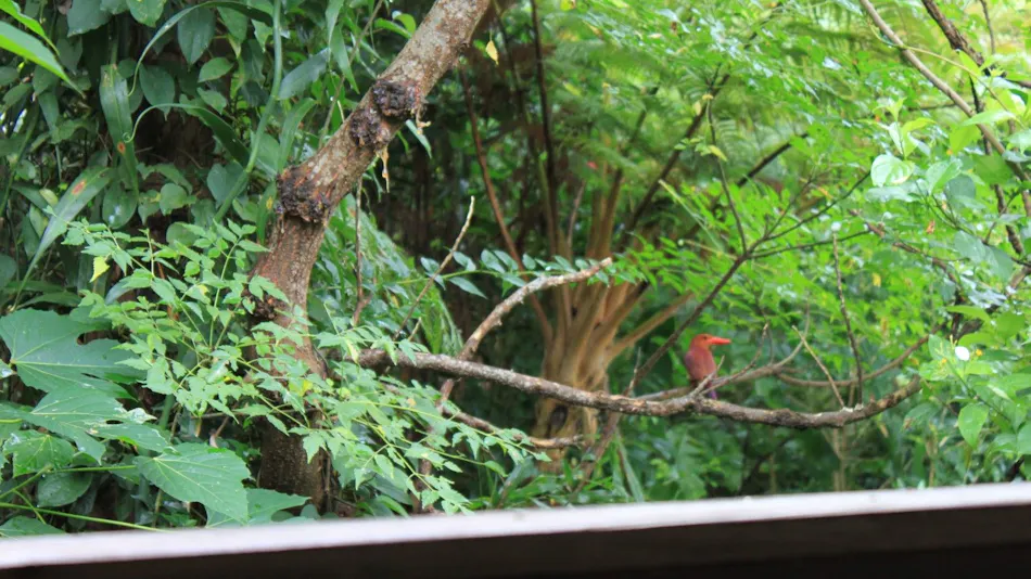 Niraina Resort & Yacht Holidays <Iriomote Island>