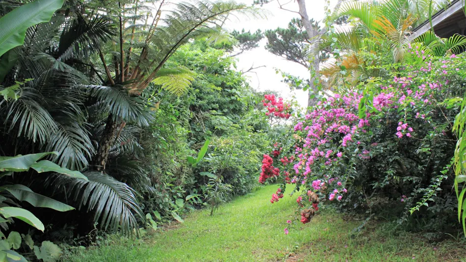Niraina Resort & Yacht Holidays <Iriomote Island>