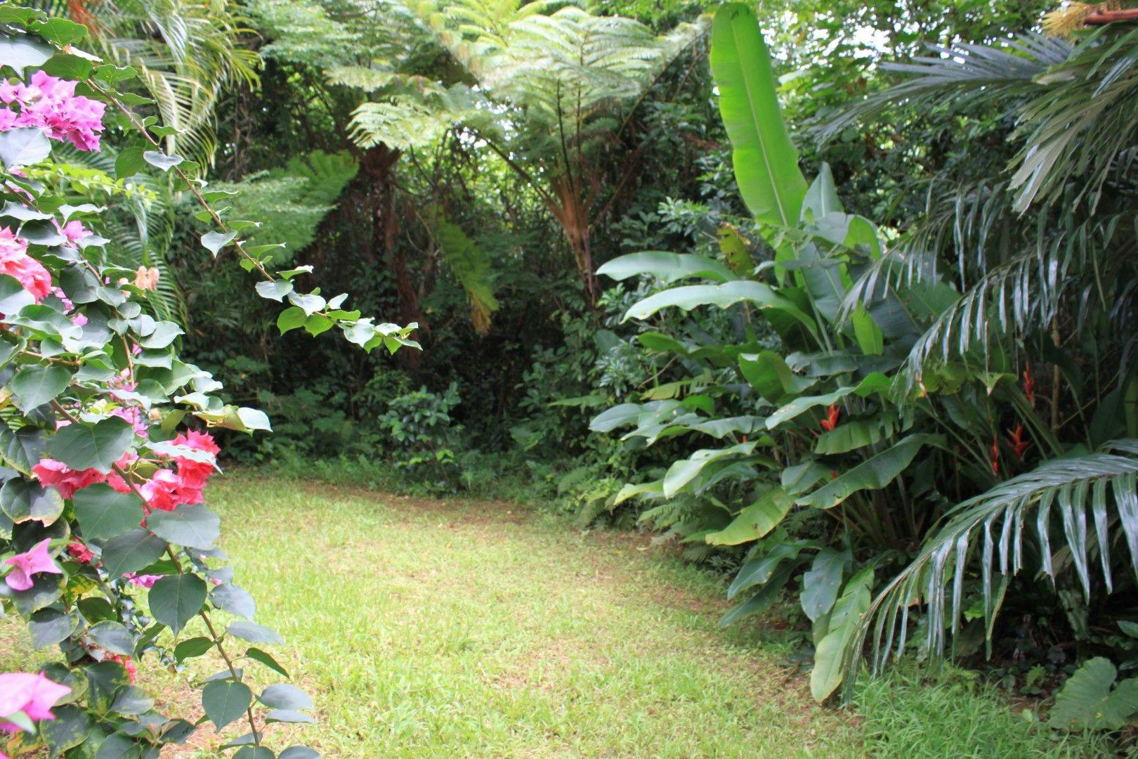 Niraina Resort & Yacht Holidays <Iriomote Island>