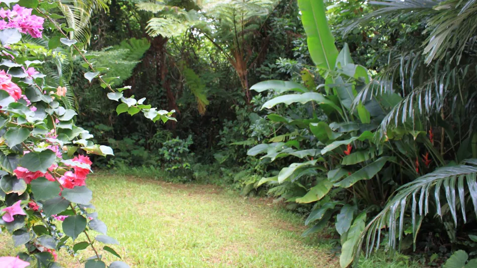 Niraina Resort & Yacht Holidays <Iriomote Island>