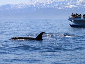 ホテルクテクン