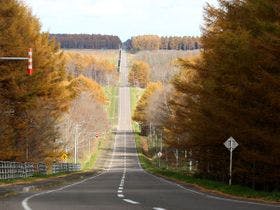 ホテルクテクン