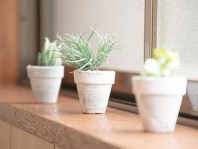 Ｔｈｅ　ＥＸＰ　Ｙａｃｈｉｙｏ