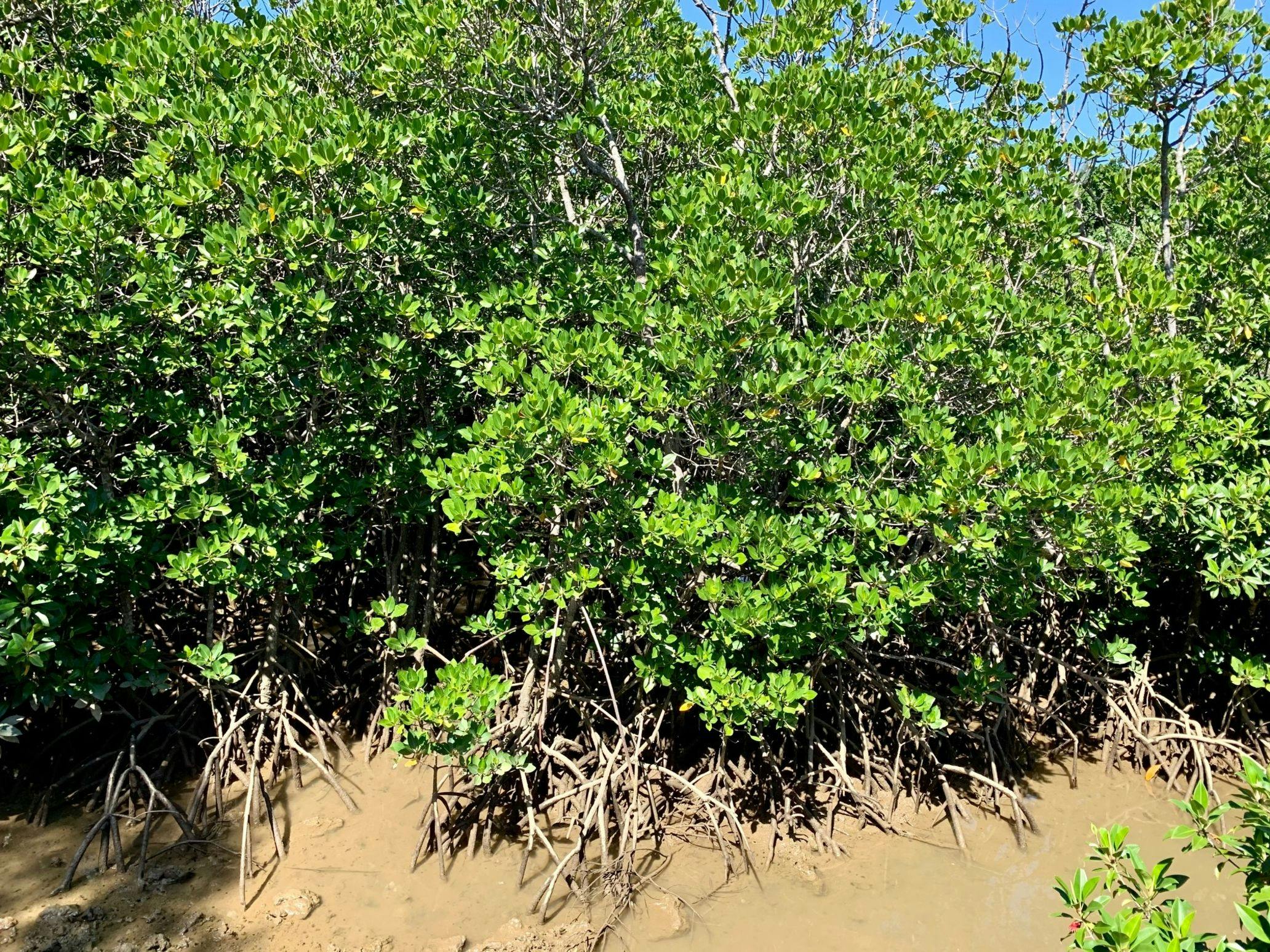 K's Villa Miyakojima