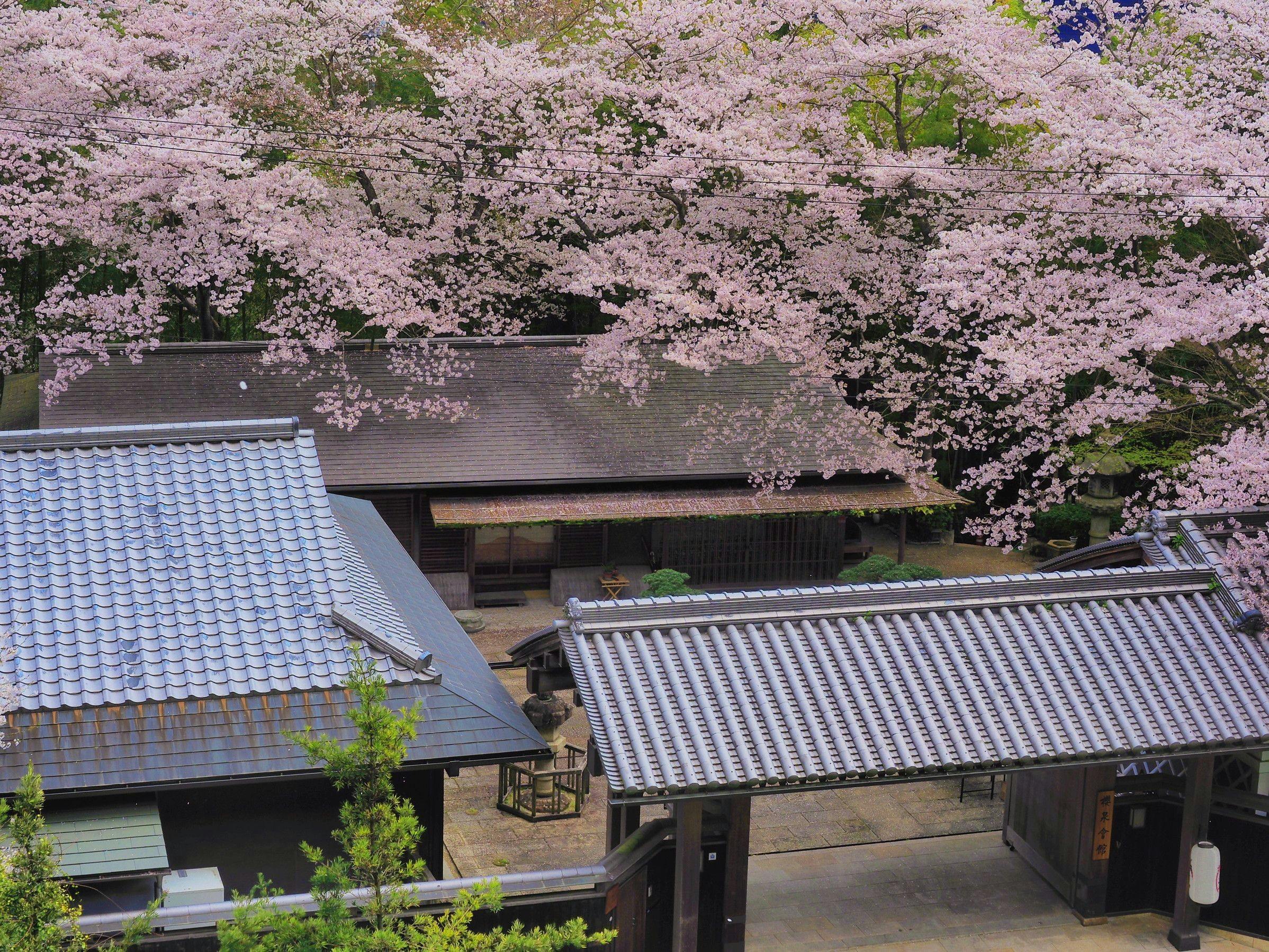 写真：櫻泉会館　Oukai Villa Izumi