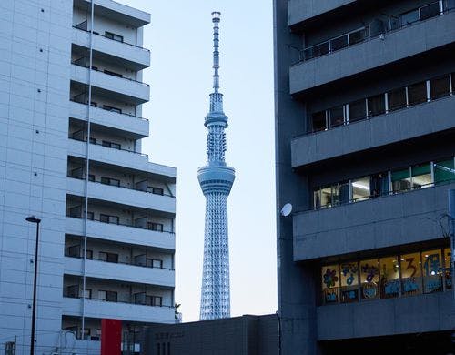 東京スカイツリー 周辺観光スポット