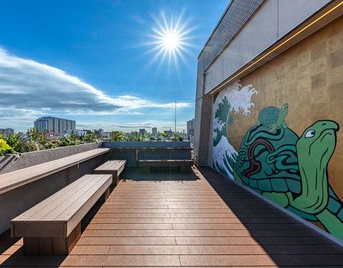 2025年12月新設「ルーフトップガーデン」