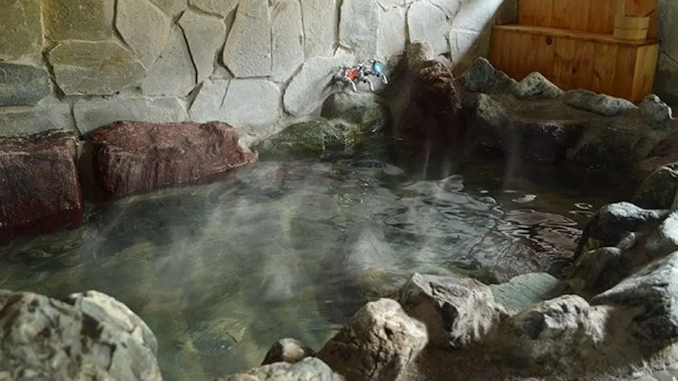 Whole House Rental Satoyama Kominka Stays Washin-an