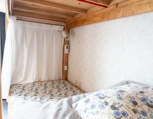 ドミトリーのハシゴ