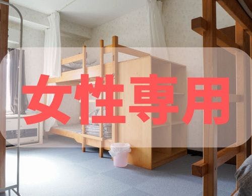 ドミトリーのハシゴ