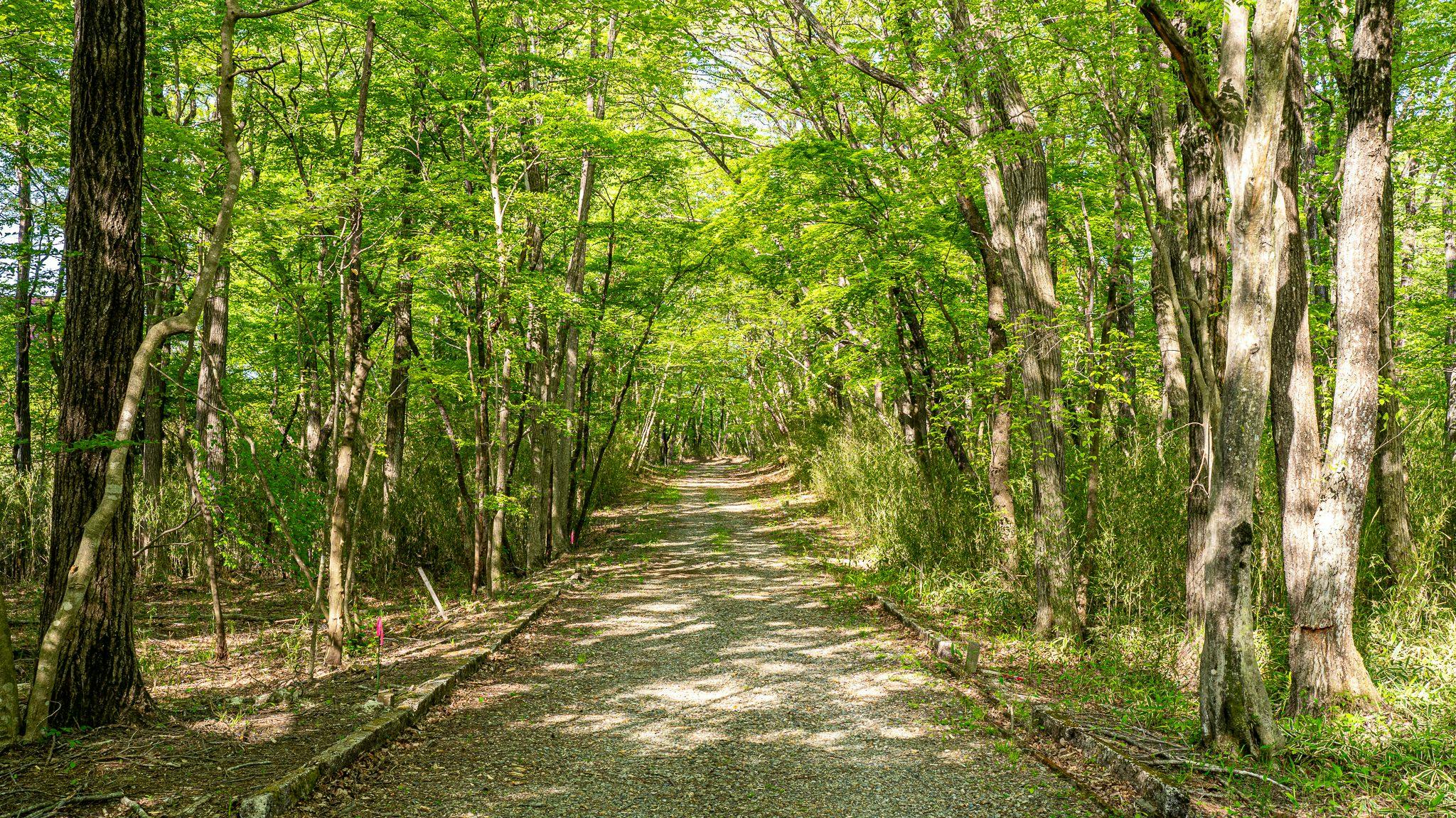 Nold Forest House  Accommodation for a Comfortable Stay in the Forest of Nasu Highlands
