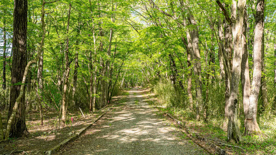 Nold Forest House Accommodation for a Comfortable Stay in the Forest of Nasu Highlands