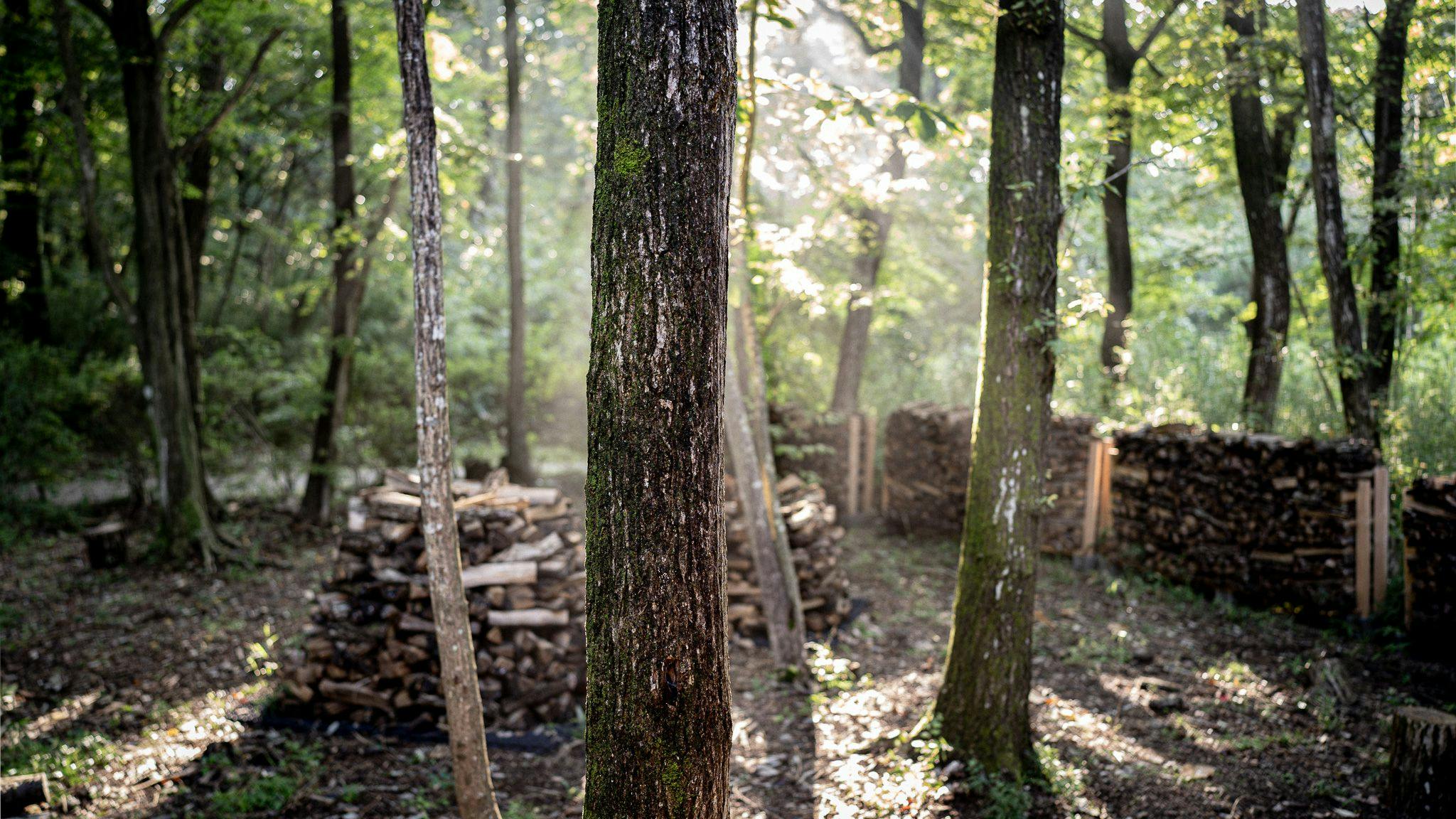 Nold Forest House  Accommodation for a Comfortable Stay in the Forest of Nasu Highlands