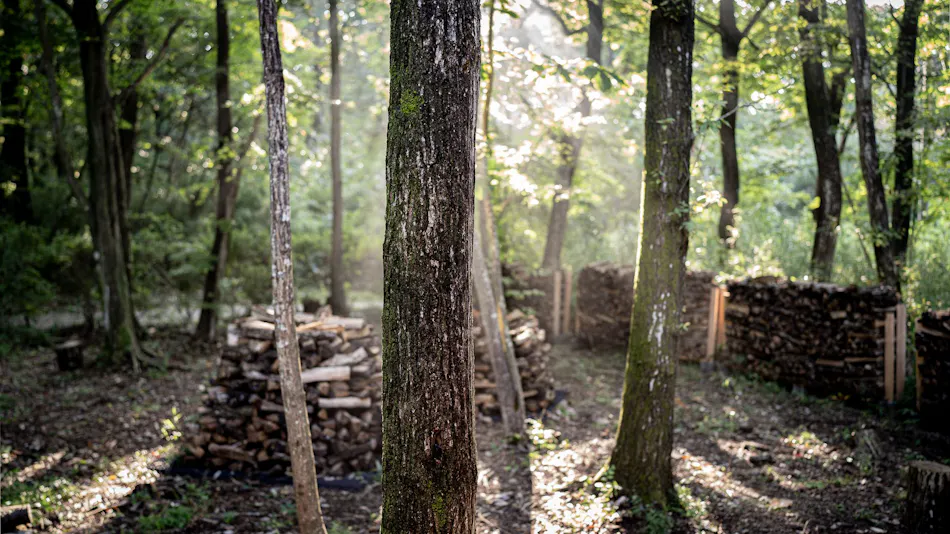 Nold Forest House Accommodation for a Comfortable Stay in the Forest of Nasu Highlands