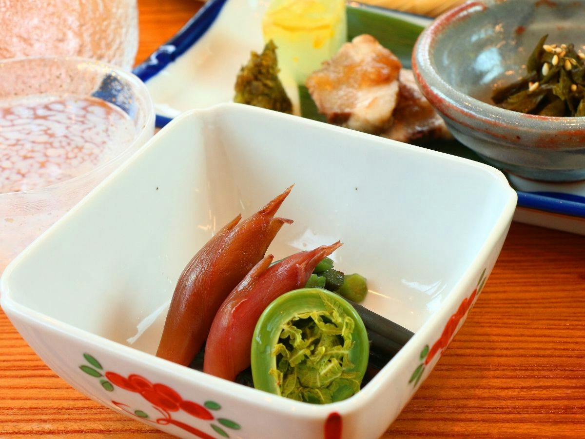 Iwama Mountain Lodge
