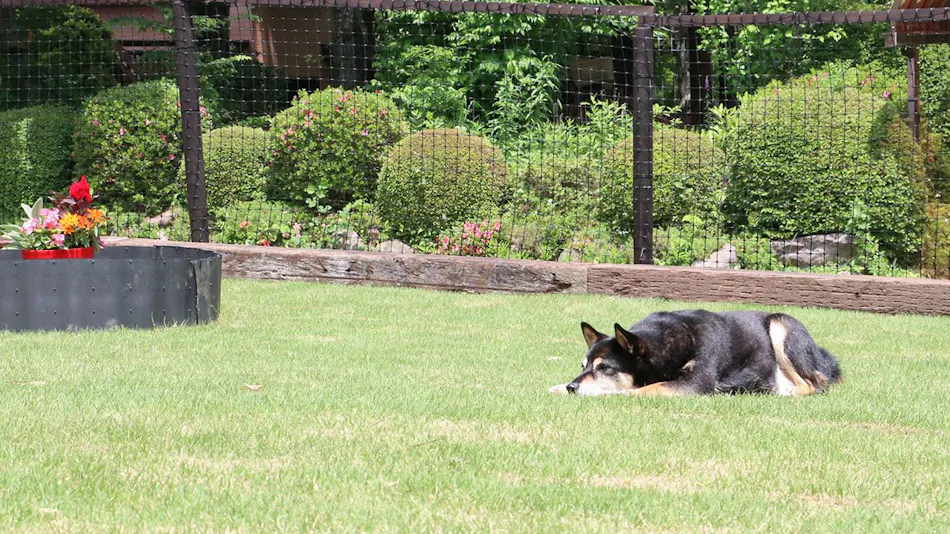 Dog-Friendly Accommodation Kunel in Nasu