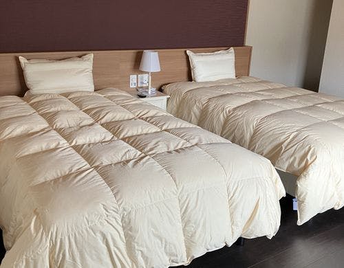 和洋室の洋室部分