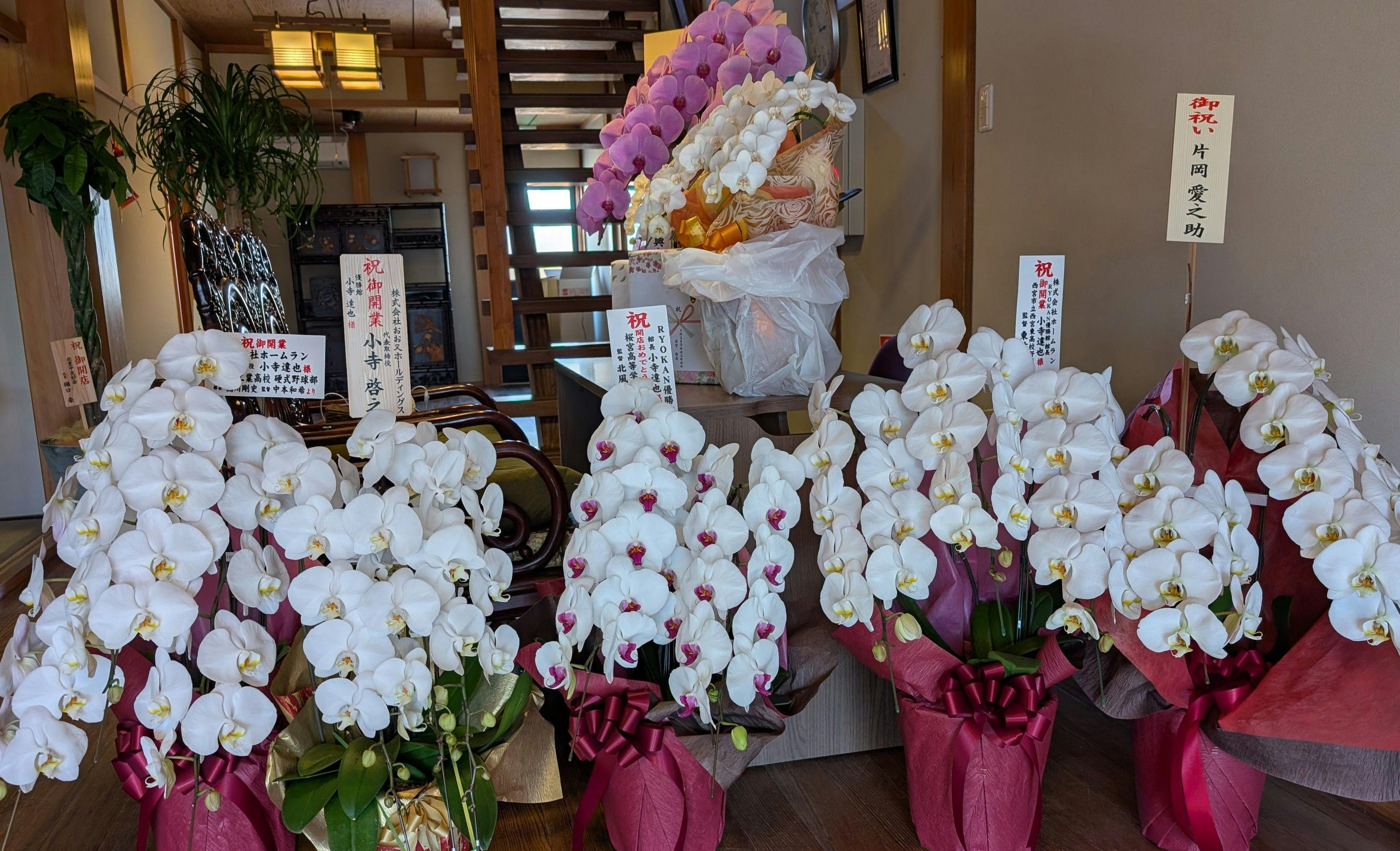 ดอกไม้แสดงความยินดีในล็อบบี้