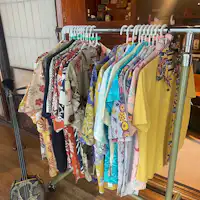 คาริยูชิแวร์